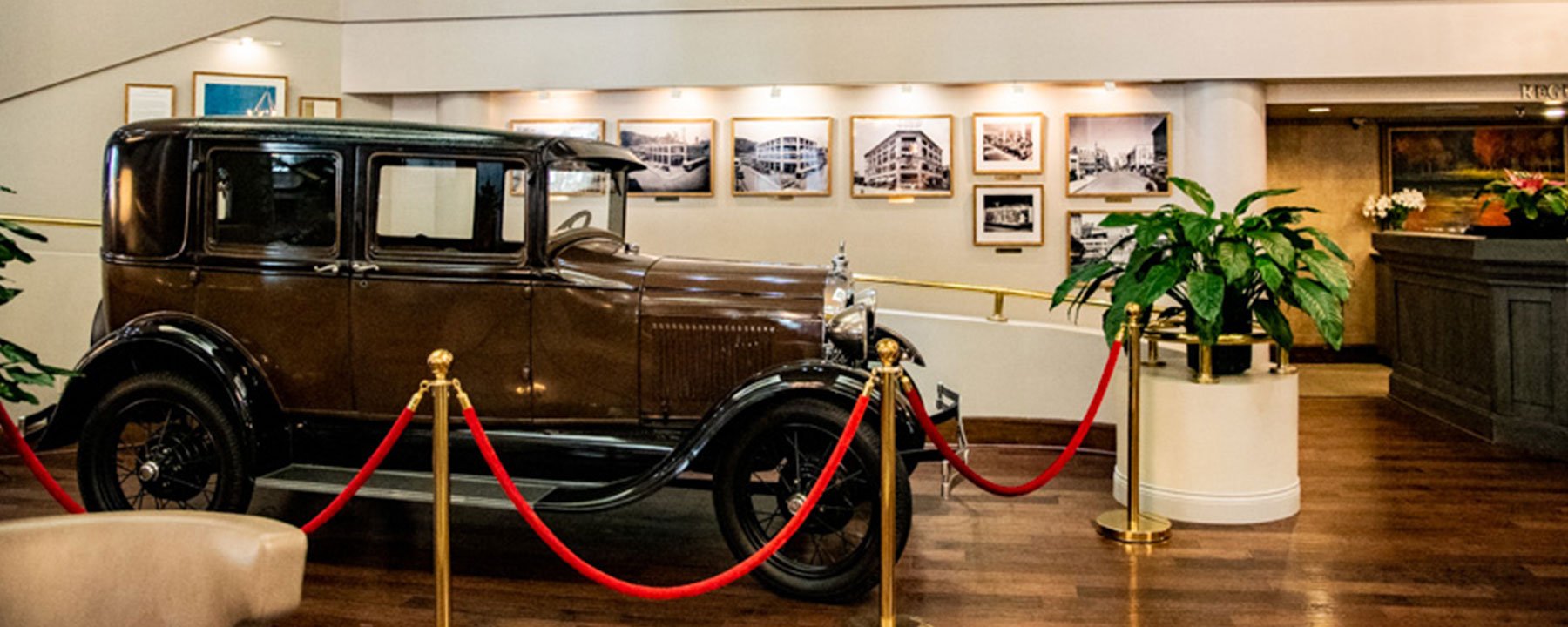 Haywood Park Atrium in Asheville, NC FIRC Group